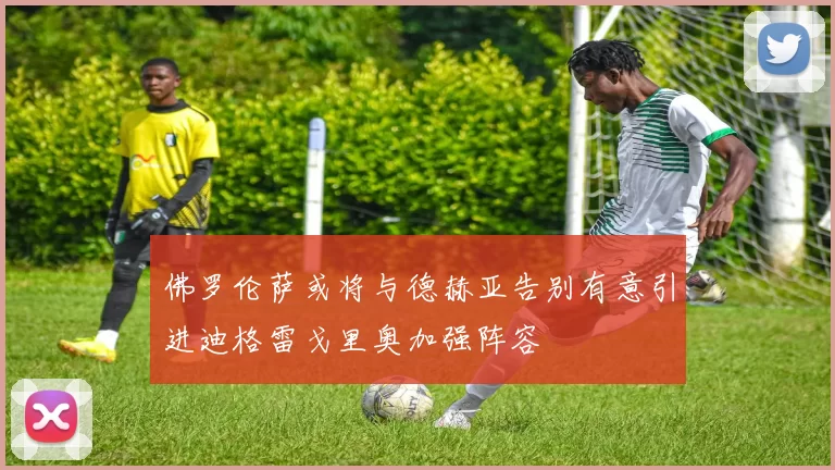 佛罗伦萨或将与德赫亚告别有意引进迪格雷戈里奥加强阵容
